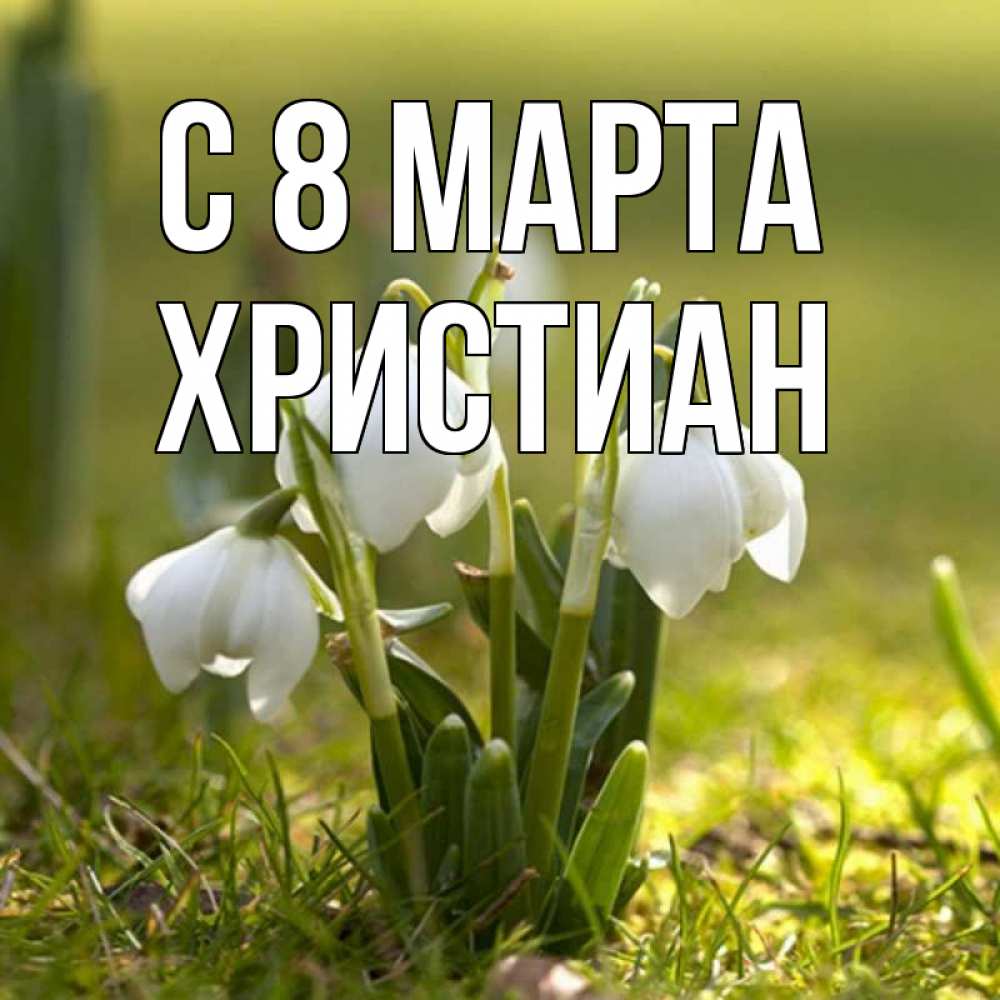 Открытка на каждый день с именем, Христиан С 8 МАРТА ранние цветы 2 Прикольная открытка с пожеланием онлайн скачать бесплатно 