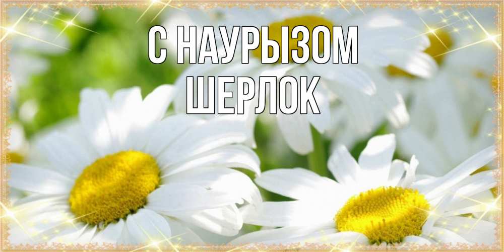 Открытка на каждый день с именем, Шерлок С наурызом красивые открытки с белыми цветами на международный женский день Прикольная открытка с пожеланием онлайн скачать бесплатно 
