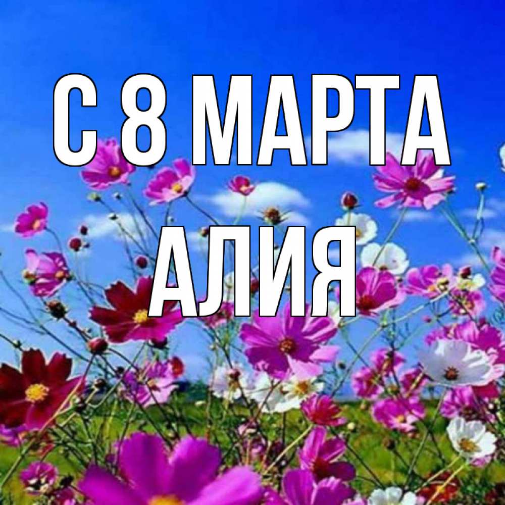 Открытка на каждый день с именем, Алия С 8 МАРТА цветы Прикольная открытка с пожеланием онлайн скачать бесплатно 