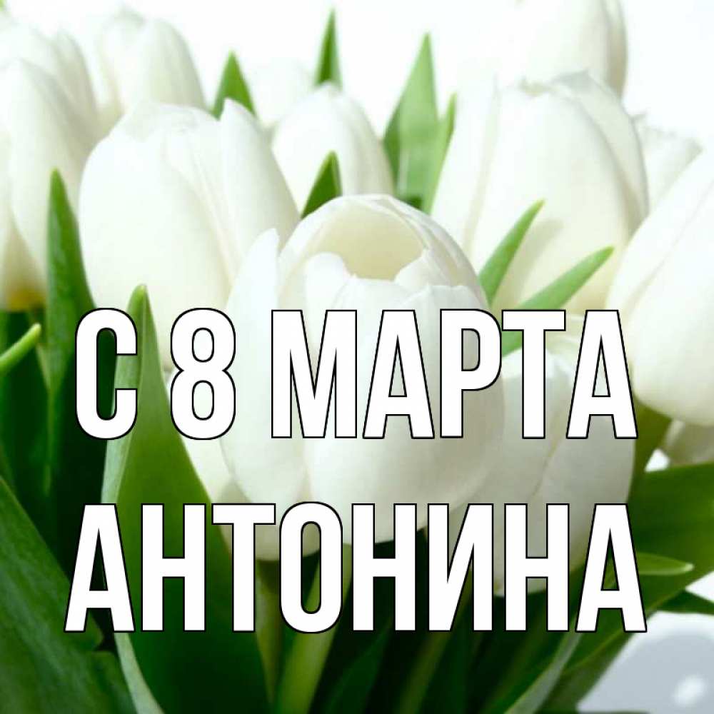 Открытка на каждый день с именем, Антонина С 8 МАРТА цветы Прикольная открытка с пожеланием онлайн скачать бесплатно 
