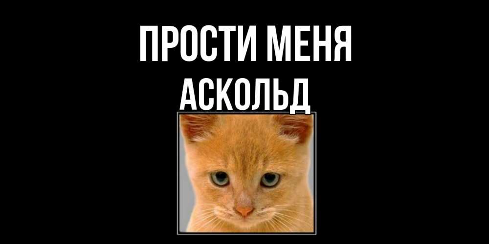 Открытка на каждый день с именем, Аскольд Прости меня рыжий грустный кот просит прощения Прикольная открытка с пожеланием онлайн скачать бесплатно 