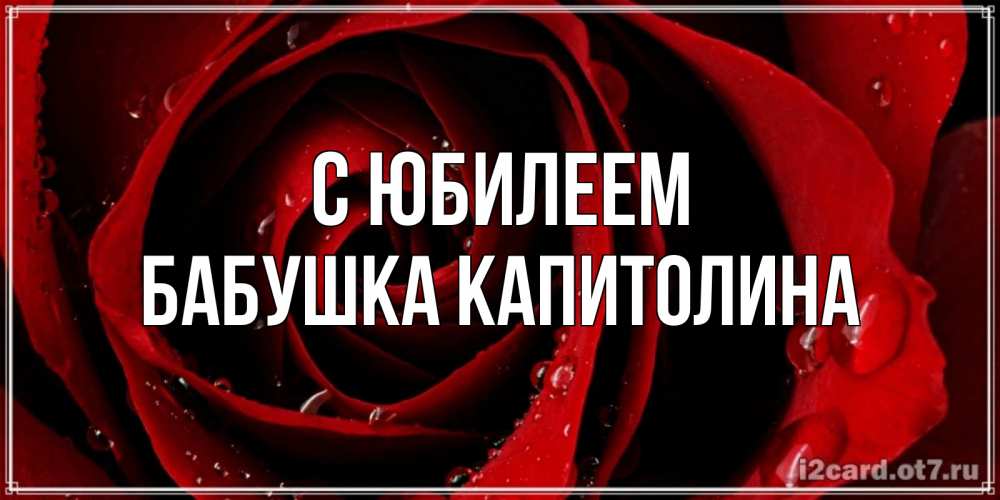 Открытка на каждый день с именем, Бабушка-Капитолина С юбилеем крупная бордовая роза Прикольная открытка с пожеланием онлайн скачать бесплатно 
