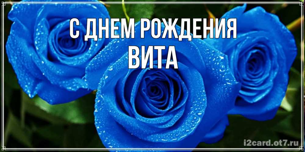 Открытка на каждый день с именем, Вита С днем рождения розы с синим цветом Прикольная открытка с пожеланием онлайн скачать бесплатно 
