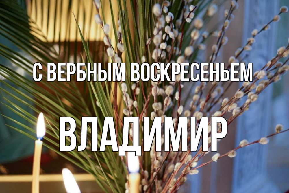Открытка на каждый день с именем, Владимир С вербным воскресеньем верба Прикольная открытка с пожеланием онлайн скачать бесплатно 