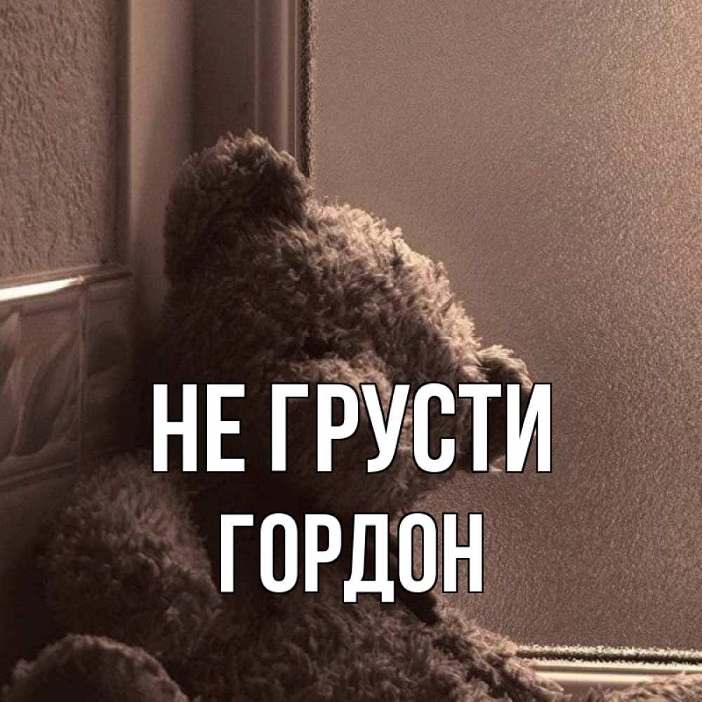 Открытка на каждый день с именем, Гордон Не грусти стекол рефленое Прикольная открытка с пожеланием онлайн скачать бесплатно 