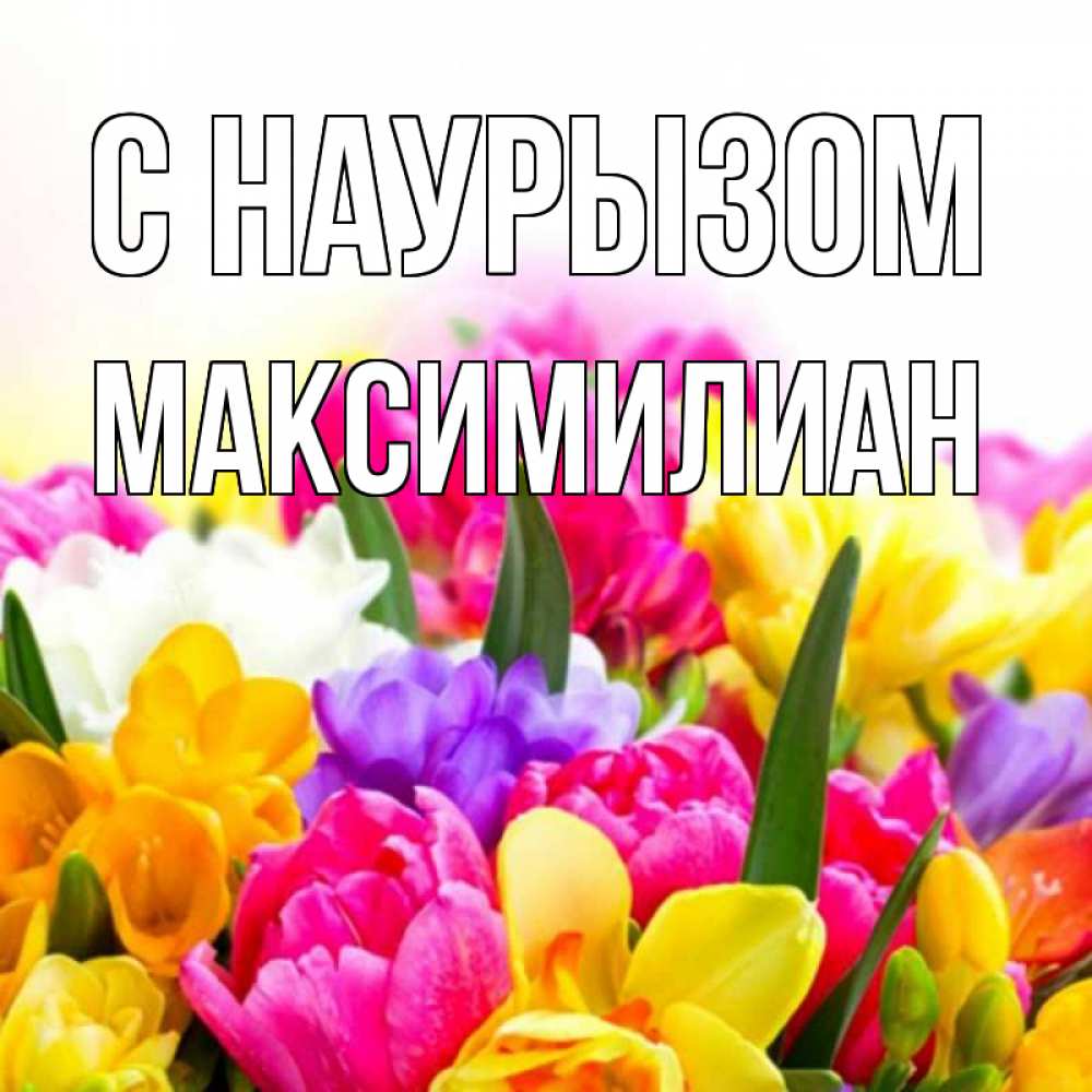 Открытка на каждый день с именем, Максимилиан С наурызом тюльпаны Прикольная открытка с пожеланием онлайн скачать бесплатно 