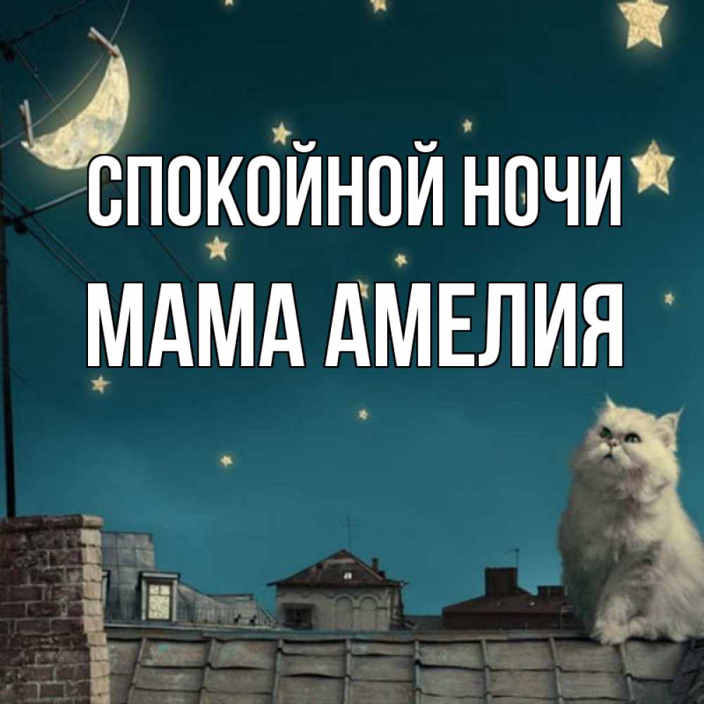 Открытка на каждый день с именем, Мама-Амелия Спокойной ночи белый кот сидит на крыше Прикольная открытка с пожеланием онлайн скачать бесплатно 