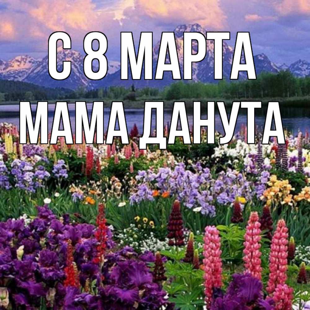 Открытка на каждый день с именем, Мама-Данута С 8 МАРТА международный женский день Прикольная открытка с пожеланием онлайн скачать бесплатно 
