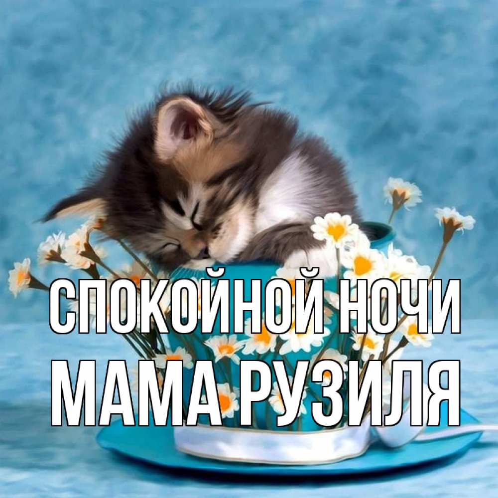 Открытка на каждый день с именем, Мама-Рузиля Спокойной ночи котенок спит в кружке с блюдцем Прикольная открытка с пожеланием онлайн скачать бесплатно 
