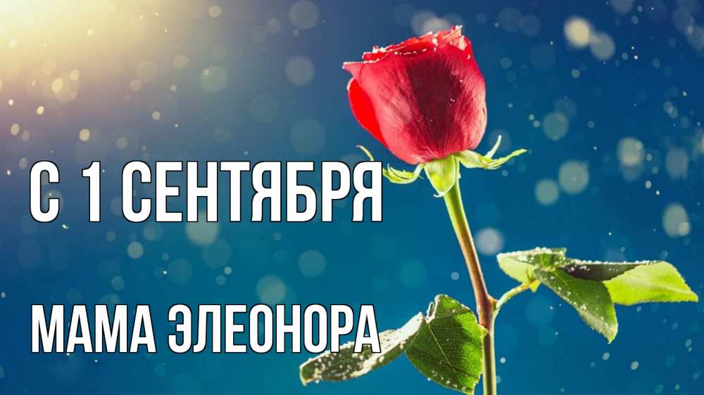 Открытка на каждый день с именем, Мама-Элеонора С 1 сентября с днем знаний Прикольная открытка с пожеланием онлайн скачать бесплатно 