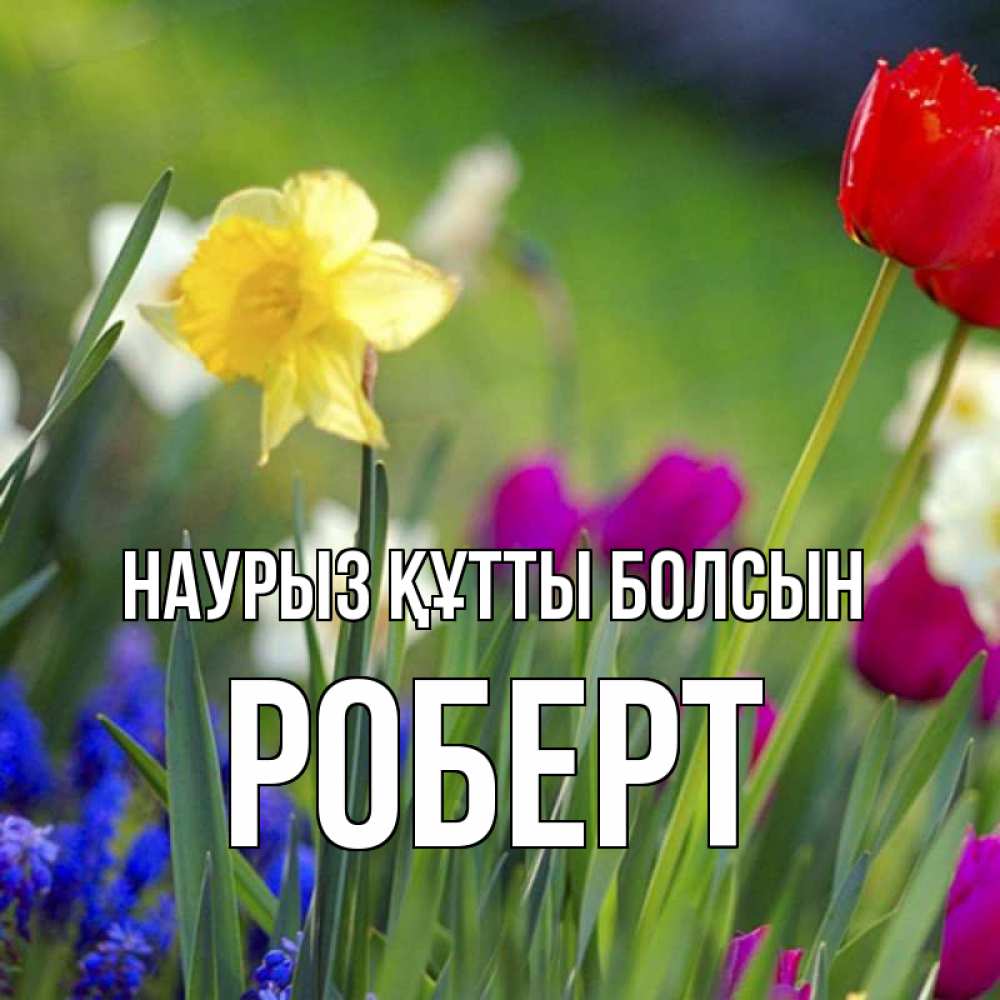 Открытка на каждый день с именем, Роберт Наурыз құтты болсын наурыз  3 открытки Прикольная открытка с пожеланием онлайн скачать бесплатно 
