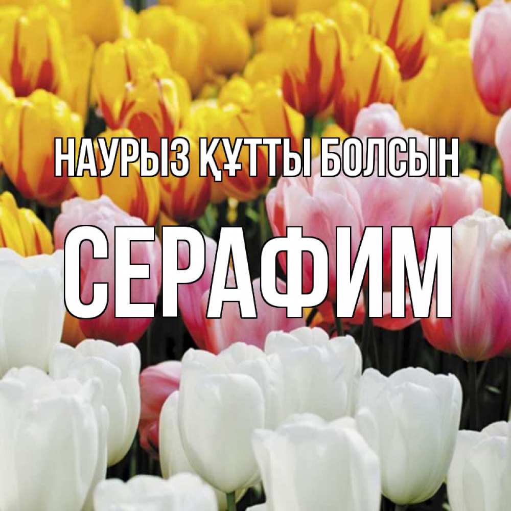 Открытка на каждый день с именем, Серафим Наурыз құтты болсын разноцветные цветы Прикольная открытка с пожеланием онлайн скачать бесплатно 