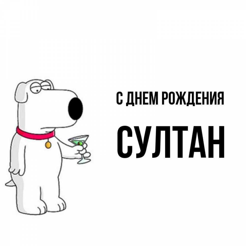 Открытка на каждый день с именем, Султан С днем рождения песик с оливками Прикольная открытка с пожеланием онлайн скачать бесплатно 