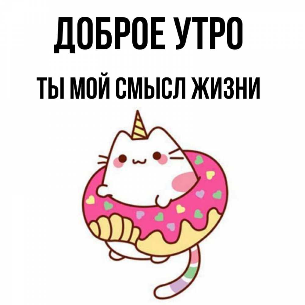 Открытка на каждый день с именем, Ты-мой-смысл-жизни Доброе утро кот в бублике Прикольная открытка с пожеланием онлайн скачать бесплатно 