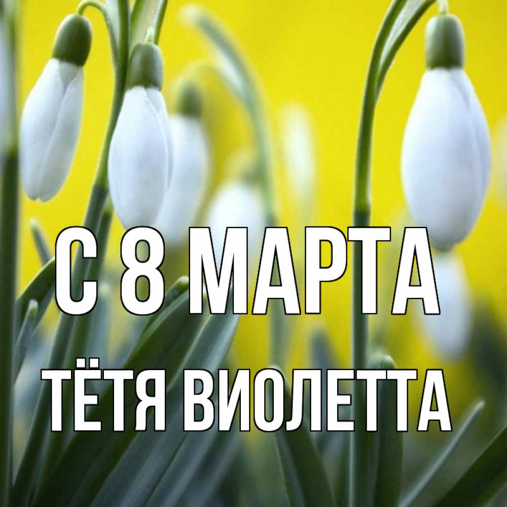 Открытка на каждый день с именем, Тётя-Виолетта С 8 марта весенние цветы Прикольная открытка с пожеланием онлайн скачать бесплатно 