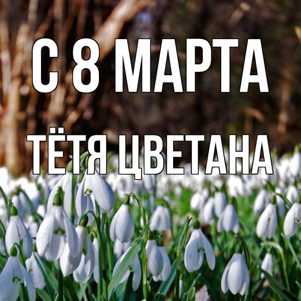 Открытка на каждый день с именем, Тётя-Цветана С 8 МАРТА с подснежниками 1 Прикольная открытка с пожеланием онлайн скачать бесплатно 