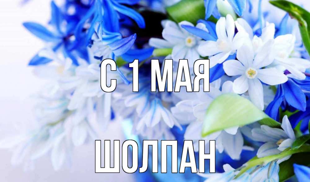 Открытка на каждый день с именем, Шолпан С 1 мая С 1 мая Прикольная открытка с пожеланием онлайн скачать бесплатно 