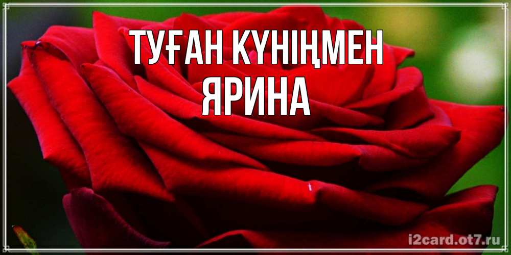 Открытка на каждый день с именем, Ярина Туған күніңмен розочка очень красивая Прикольная открытка с пожеланием онлайн скачать бесплатно 