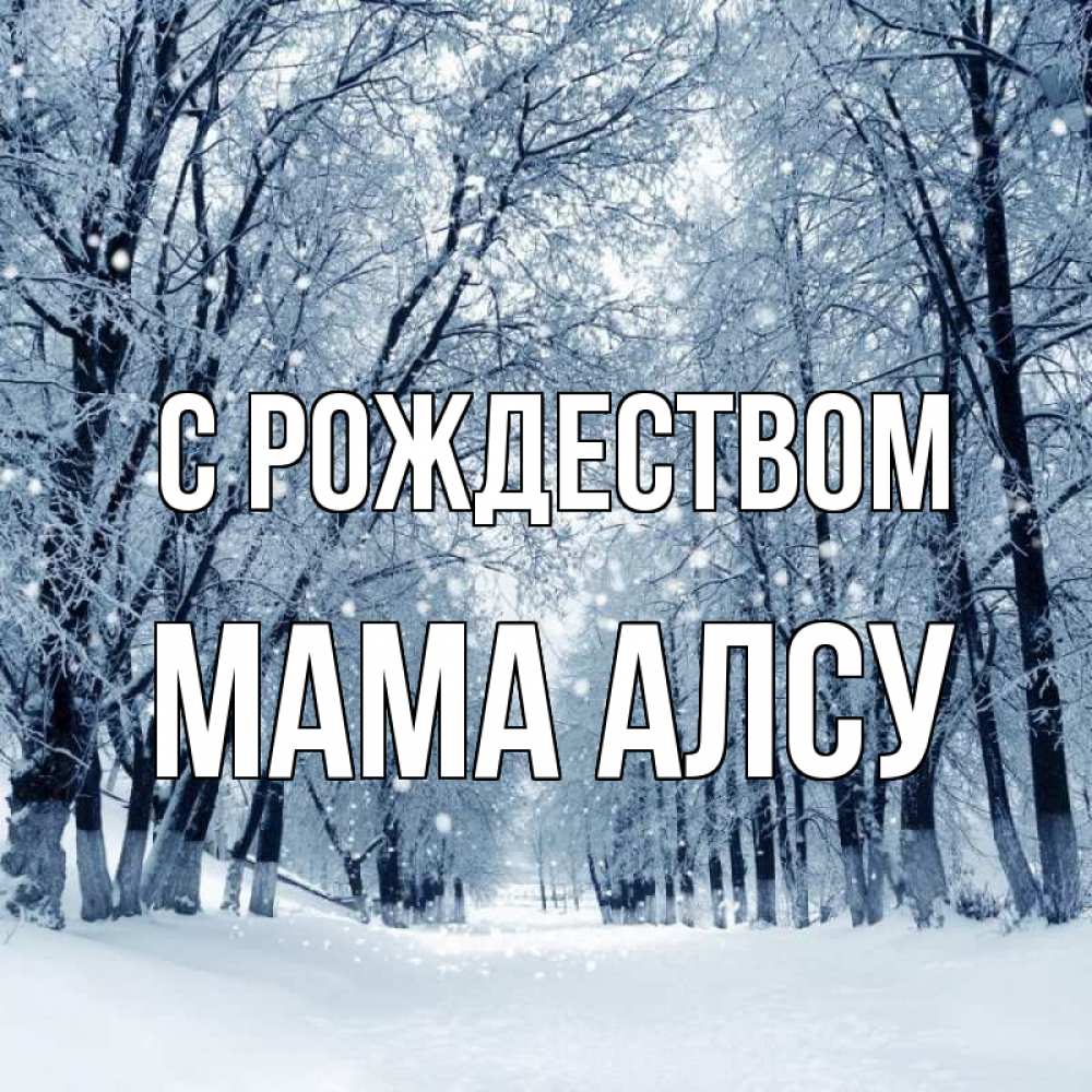 Открытка на каждый день с именем, Мама-Алсу С рождеством снег, лес, парк Прикольная открытка с пожеланием онлайн скачать бесплатно 