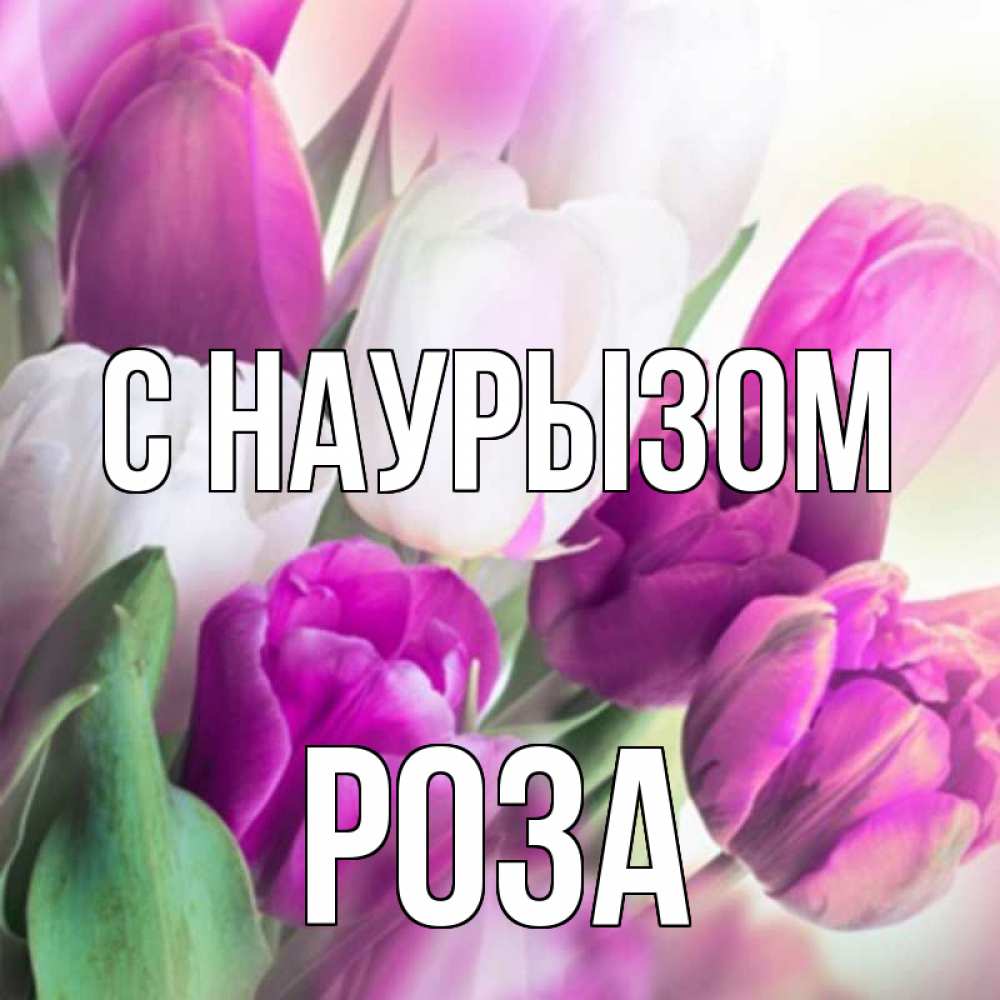 Открытка на каждый день с именем, Роза С наурызом весна 1 Прикольная открытка с пожеланием онлайн скачать бесплатно 