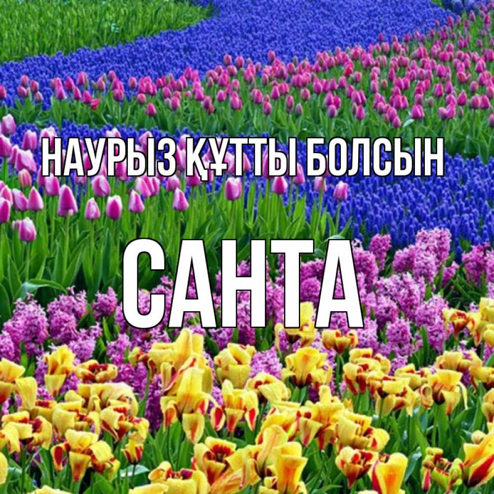 Открытка на каждый день с именем, Санта Наурыз құтты болсын цветы Прикольная открытка с пожеланием онлайн скачать бесплатно 