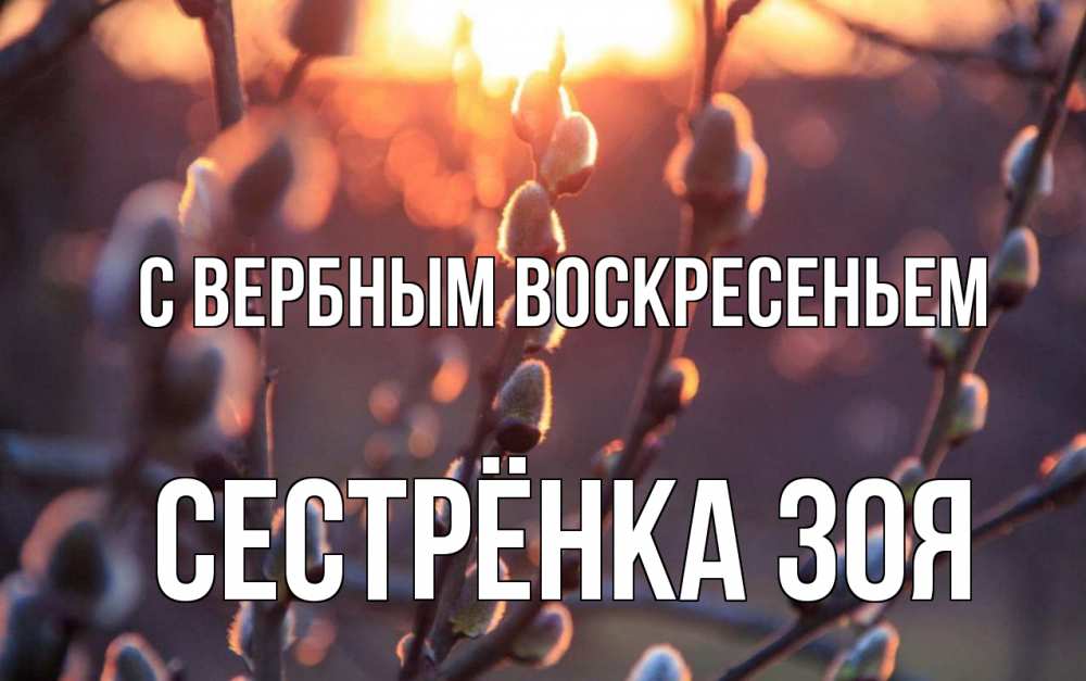Открытка на каждый день с именем, Сестрёнка-Зоя С вербным воскресеньем верба Прикольная открытка с пожеланием онлайн скачать бесплатно 