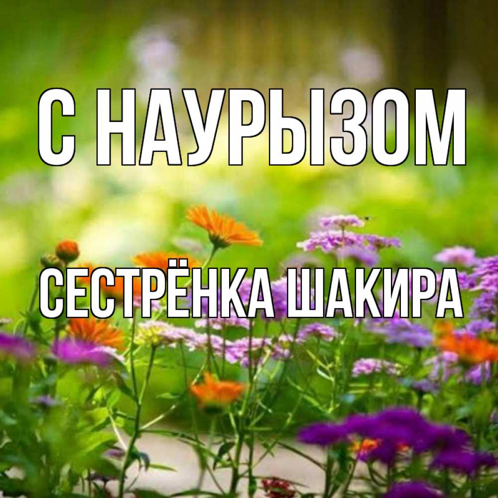 Открытка на каждый день с именем, Сестрёнка-Шакира С наурызом цветы Прикольная открытка с пожеланием онлайн скачать бесплатно 