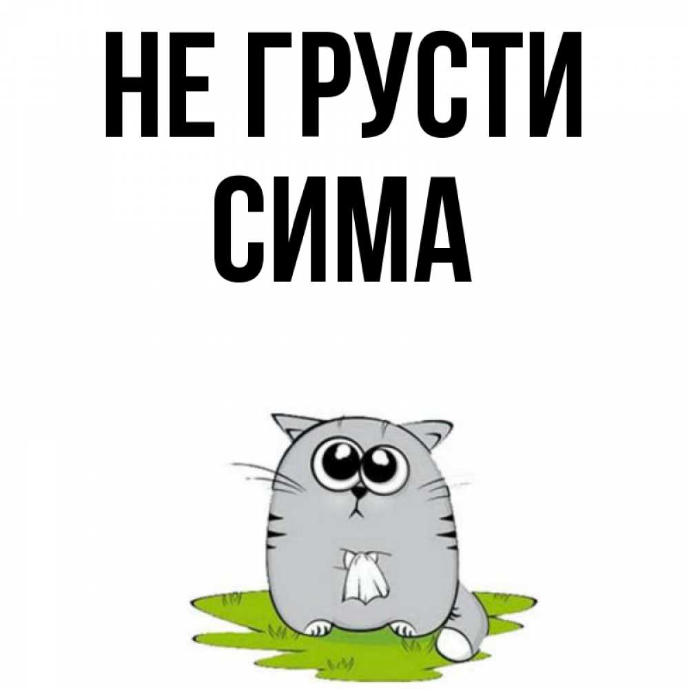 Открытка на каждый день с именем, Сима Не грусти грустный котяра Прикольная открытка с пожеланием онлайн скачать бесплатно 