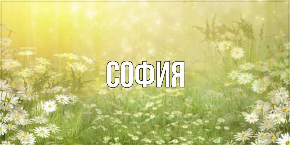 Открытка на каждый день с именем, София Главная доброе утро Прикольная открытка с пожеланием онлайн скачать бесплатно 