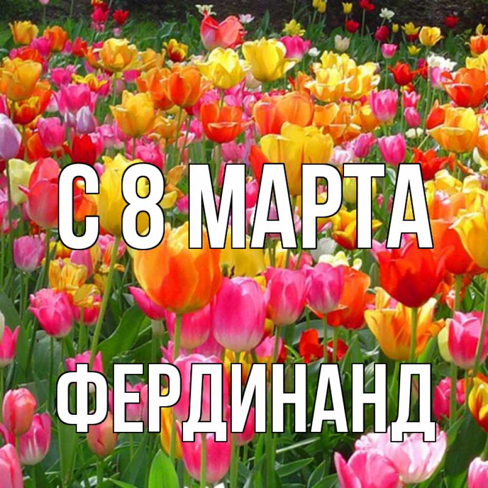Открытка на каждый день с именем, Фердинанд С 8 МАРТА на международный женский день Прикольная открытка с пожеланием онлайн скачать бесплатно 