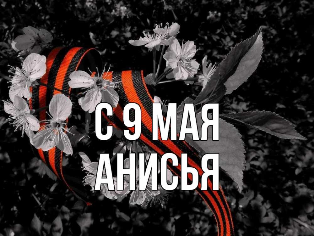 Открытка на каждый день с именем, Анисья С 9 мая 9 мая Прикольная открытка с пожеланием онлайн скачать бесплатно 