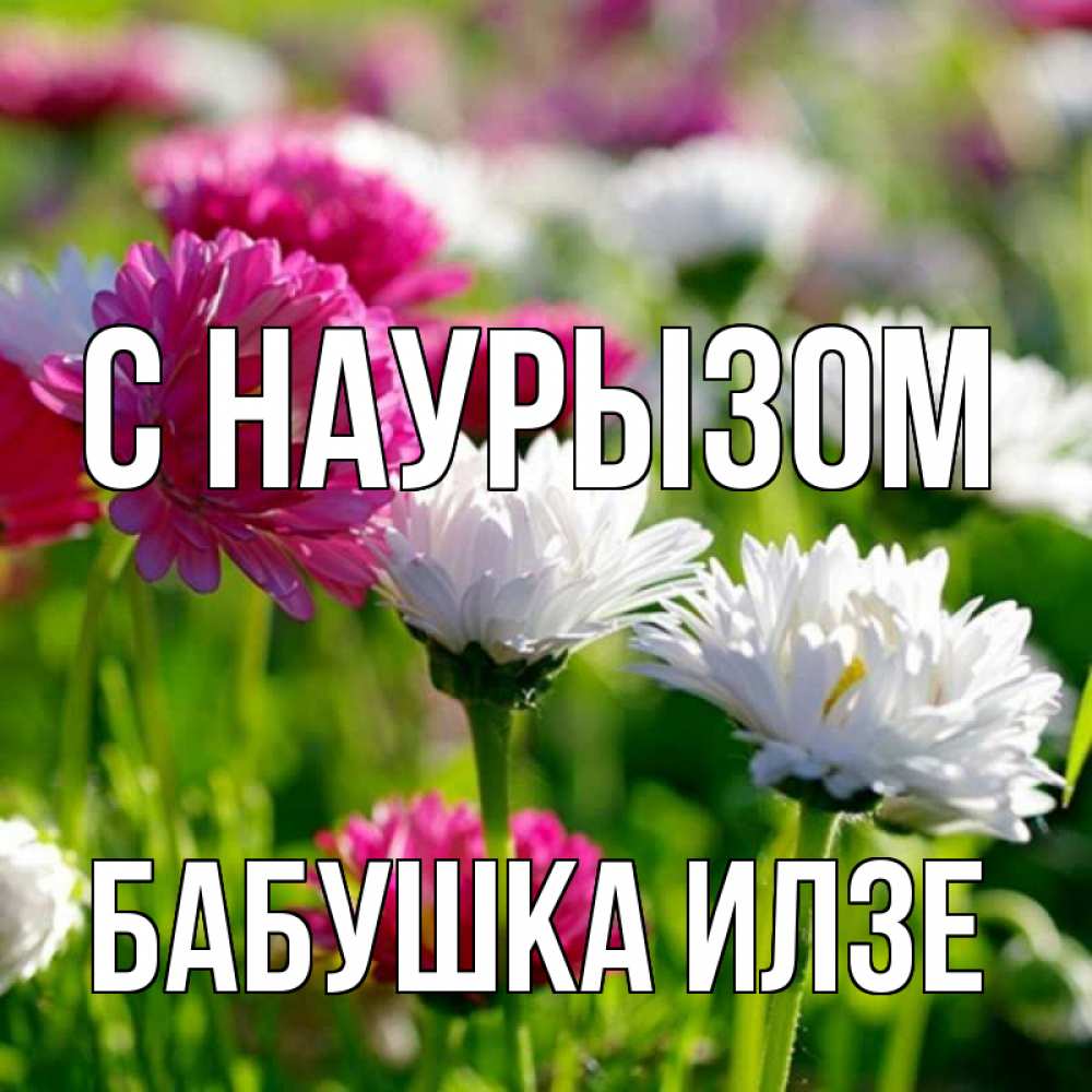 Открытка на каждый день с именем, Бабушка-Илзе С наурызом праздник весны наурыз красота Прикольная открытка с пожеланием онлайн скачать бесплатно 