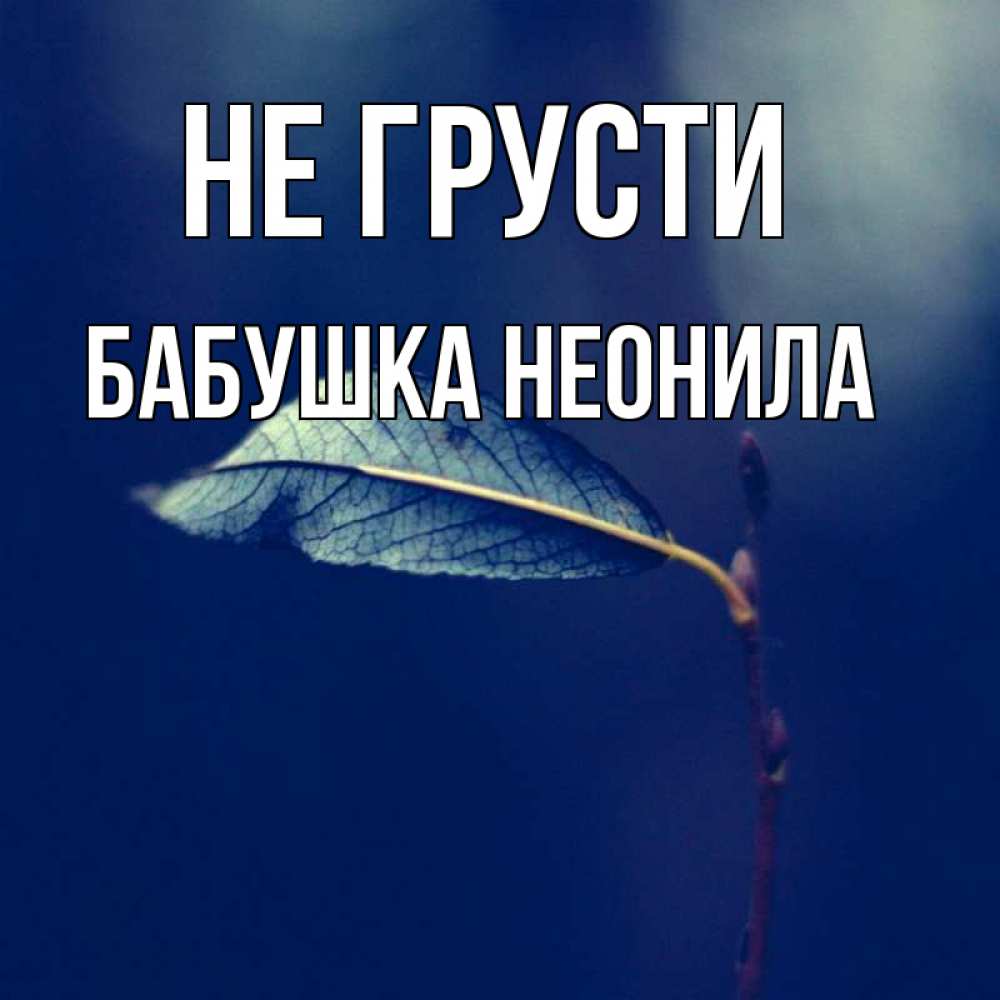 Открытка на каждый день с именем, Бабушка-Неонила Не грусти растение Прикольная открытка с пожеланием онлайн скачать бесплатно 