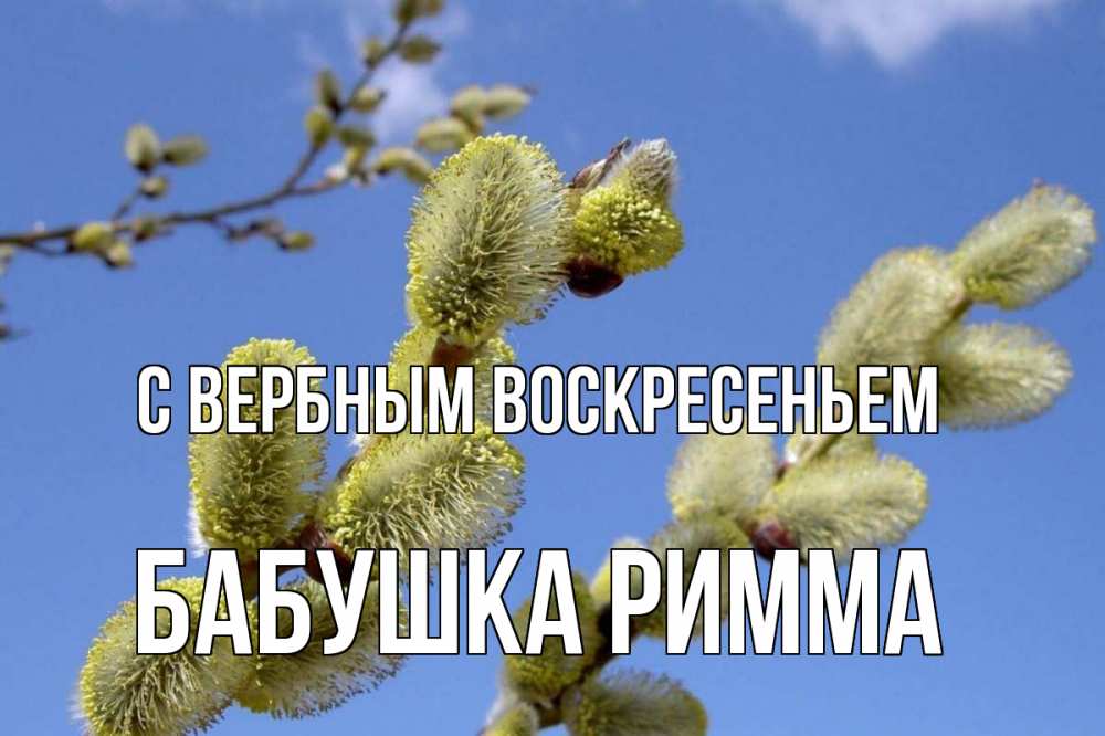 Открытка на каждый день с именем, Бабушка-Римма С вербным воскресеньем верба Прикольная открытка с пожеланием онлайн скачать бесплатно 