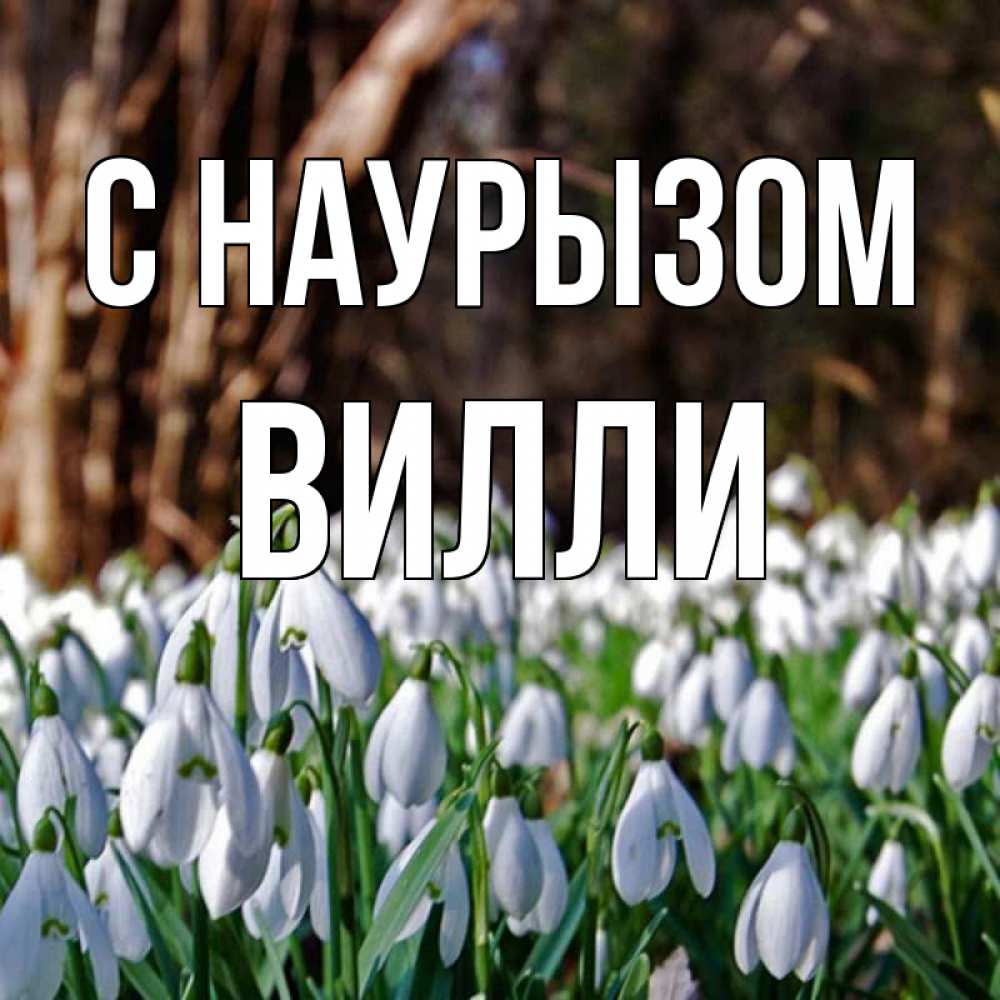 Открытка на каждый день с именем, Вилли С наурызом с подснежниками 1 Прикольная открытка с пожеланием онлайн скачать бесплатно 