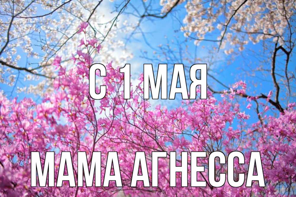 Открытка на каждый день с именем, Мама-Агнесса С 1 мая С 1 мая Прикольная открытка с пожеланием онлайн скачать бесплатно 