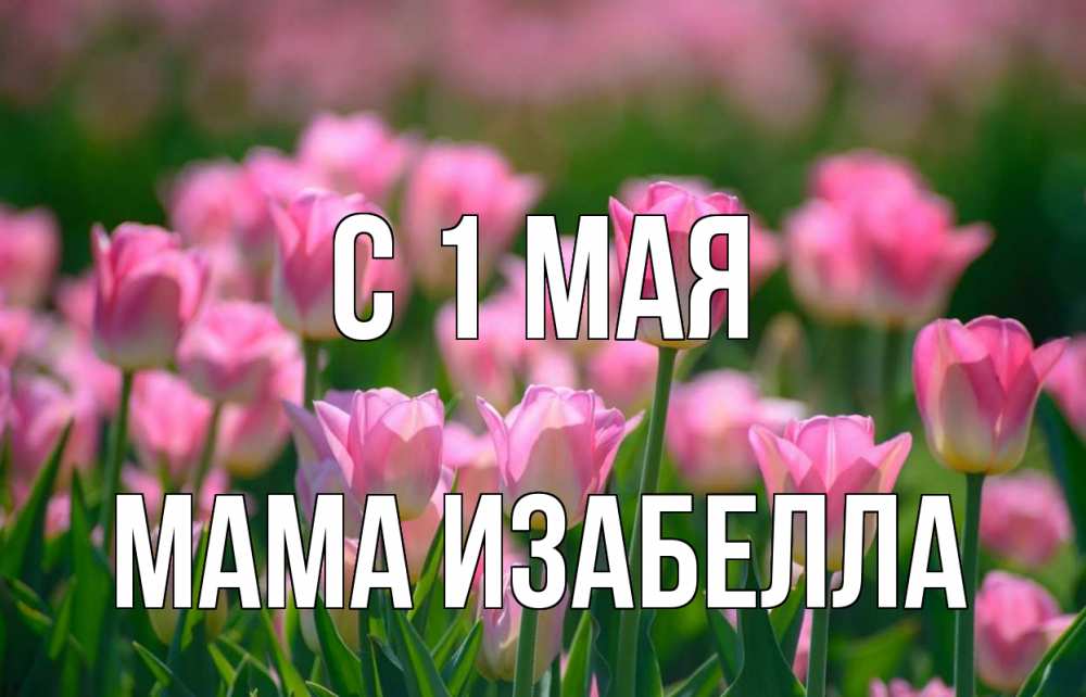 Открытка на каждый день с именем, Мама-Изабелла С 1 мая С 1 мая Прикольная открытка с пожеланием онлайн скачать бесплатно 