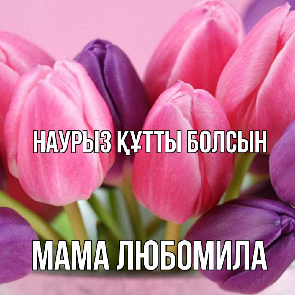 Открытка на каждый день с именем, Мама-Любомила Наурыз құтты болсын маме 1 Прикольная открытка с пожеланием онлайн скачать бесплатно 
