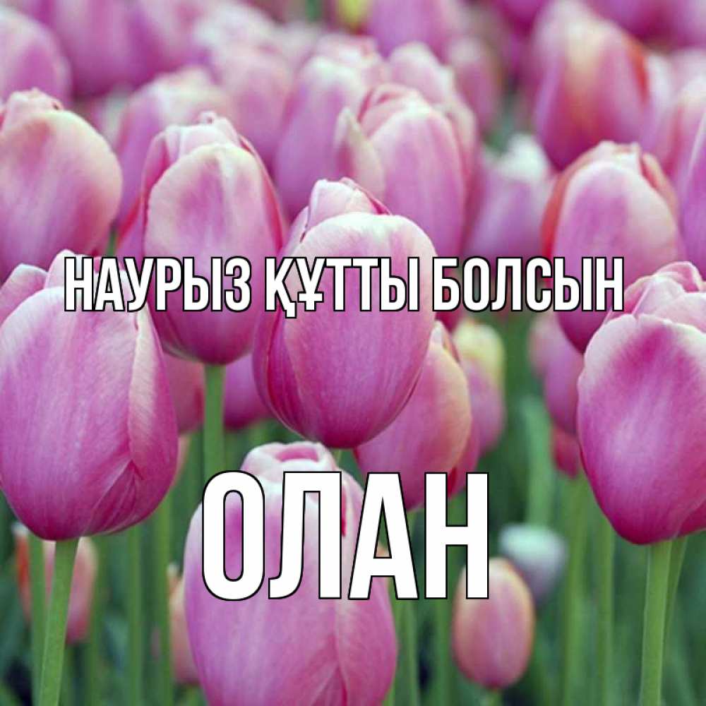 Открытка на каждый день с именем, Олан Наурыз құтты болсын на наурыз  день 3 Прикольная открытка с пожеланием онлайн скачать бесплатно 