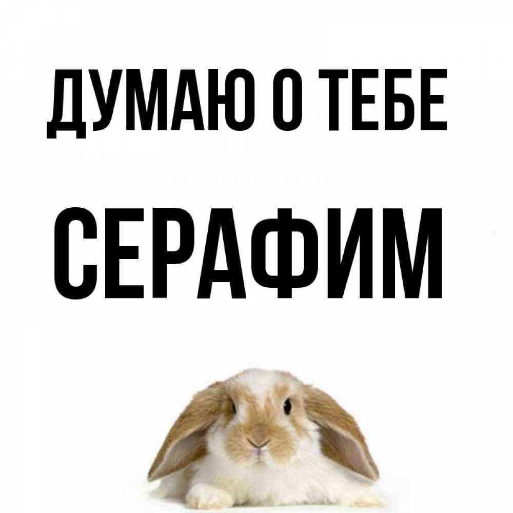 Открытка на каждый день с именем, Серафим Думаю о тебе подписать своими руками онлайн Прикольная открытка с пожеланием онлайн скачать бесплатно 