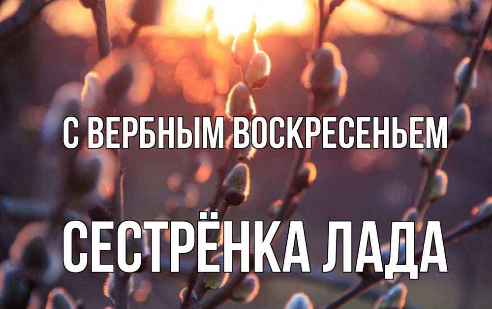 Открытка на каждый день с именем, Сестрёнка-Лада С вербным воскресеньем верба Прикольная открытка с пожеланием онлайн скачать бесплатно 