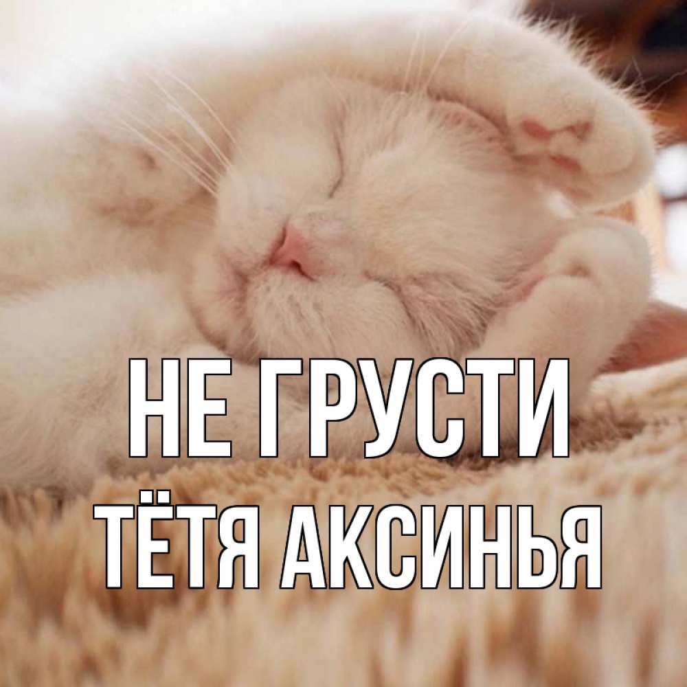 Открытка на каждый день с именем, Тётя-Аксинья Не грусти белый кот Прикольная открытка с пожеланием онлайн скачать бесплатно 