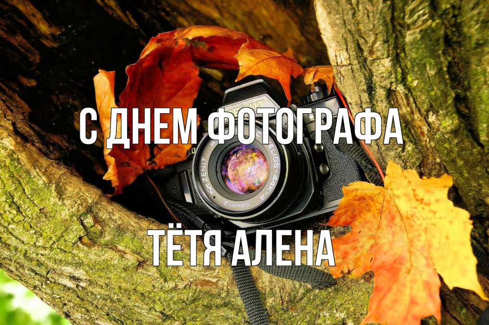 Открытка на каждый день с именем, Тётя-Алена С днем фотографа с днем фотографа 1 Прикольная открытка с пожеланием онлайн скачать бесплатно 
