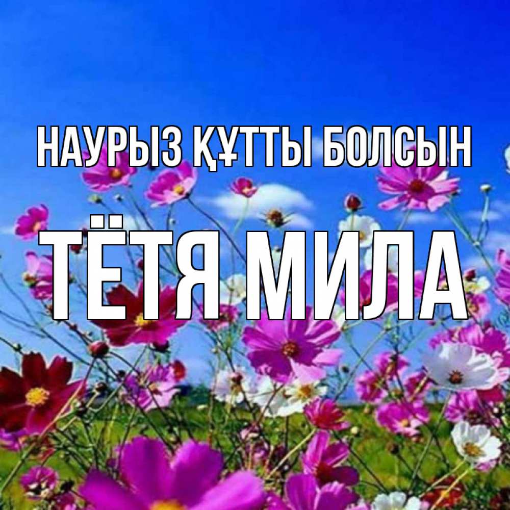 Открытка на каждый день с именем, Тётя-Мила Наурыз құтты болсын цветы Прикольная открытка с пожеланием онлайн скачать бесплатно 