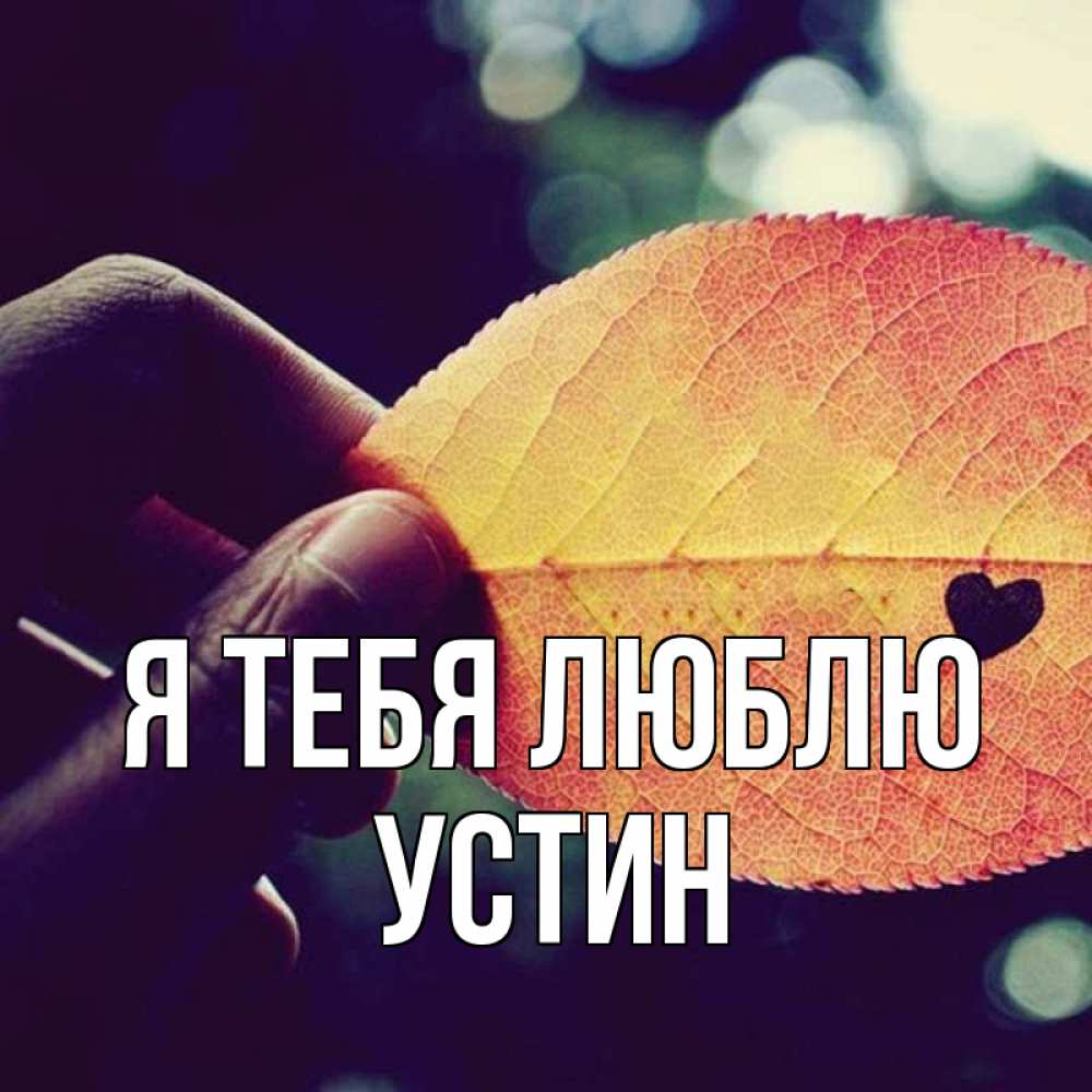 Открытка на каждый день с именем, Устин Я тебя люблю держу лист Прикольная открытка с пожеланием онлайн скачать бесплатно 
