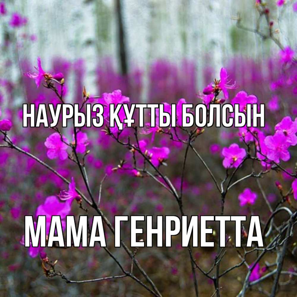 Открытка на каждый день с именем, Мама-Генриетта Наурыз құтты болсын дикие цветы Прикольная открытка с пожеланием онлайн скачать бесплатно 