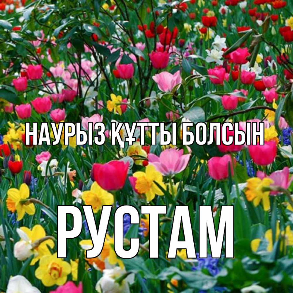Открытка на каждый день с именем, Рустам Наурыз құтты болсын с наурызом поздравления для женщины Прикольная открытка с пожеланием онлайн скачать бесплатно 