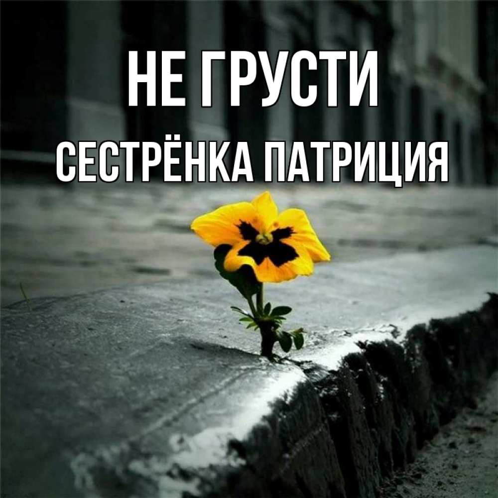 Открытка на каждый день с именем, Сестрёнка-Патриция Не грусти не сдавайся Прикольная открытка с пожеланием онлайн скачать бесплатно 