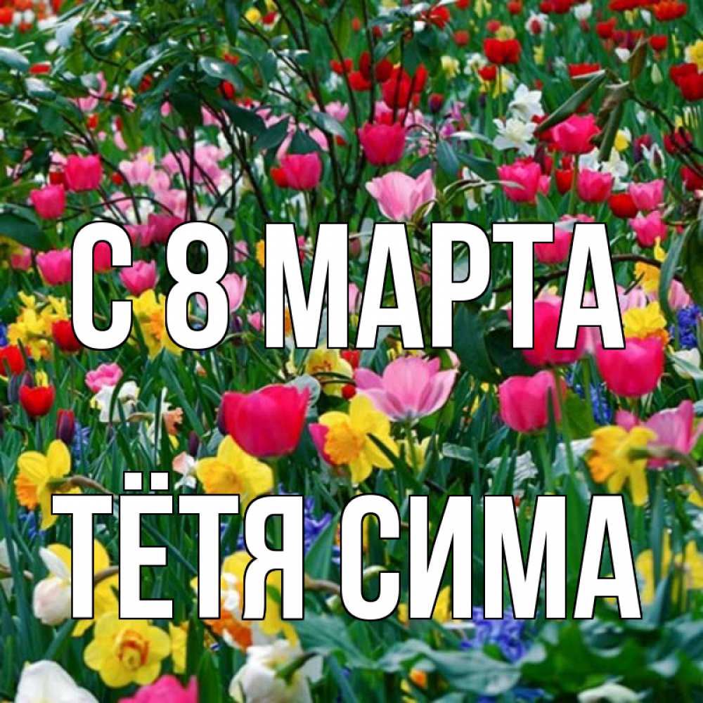 Открытка на каждый день с именем, Тётя-Сима С 8 марта с международным женским днем поздравления для женщины Прикольная открытка с пожеланием онлайн скачать бесплатно 