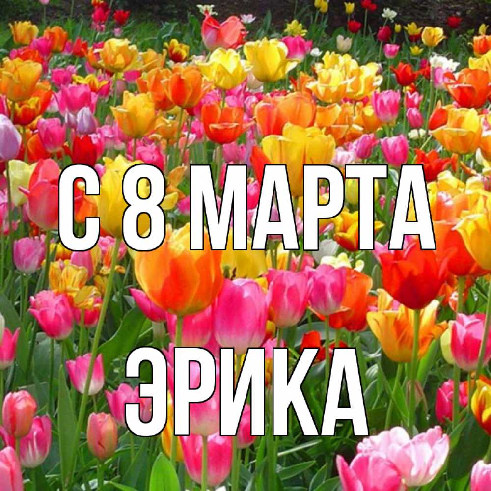 Открытка на каждый день с именем, Эрика С 8 МАРТА на международный женский день Прикольная открытка с пожеланием онлайн скачать бесплатно 